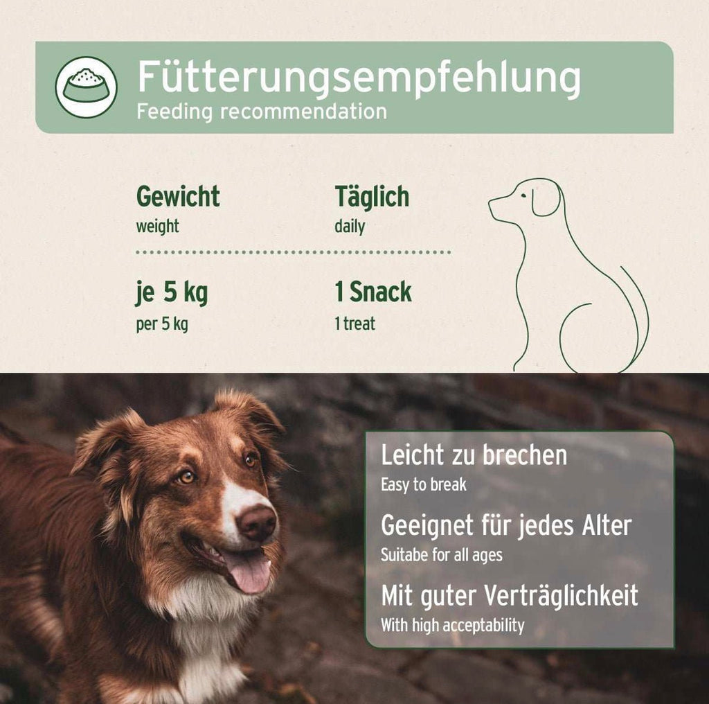 AniForte® Gelenk Snack für Hunde – mit Grünlippmuschel