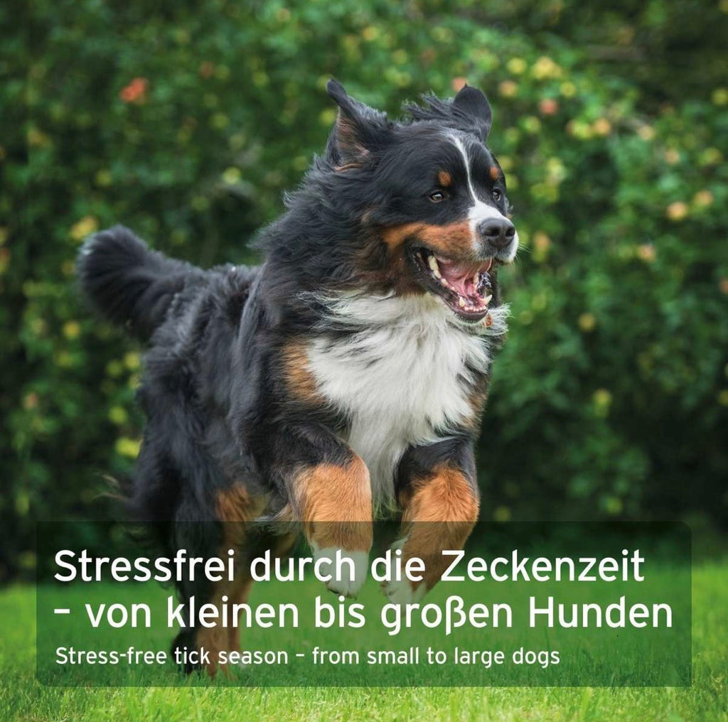 AniForte® ZeckenSchild Kapseln für Hunde