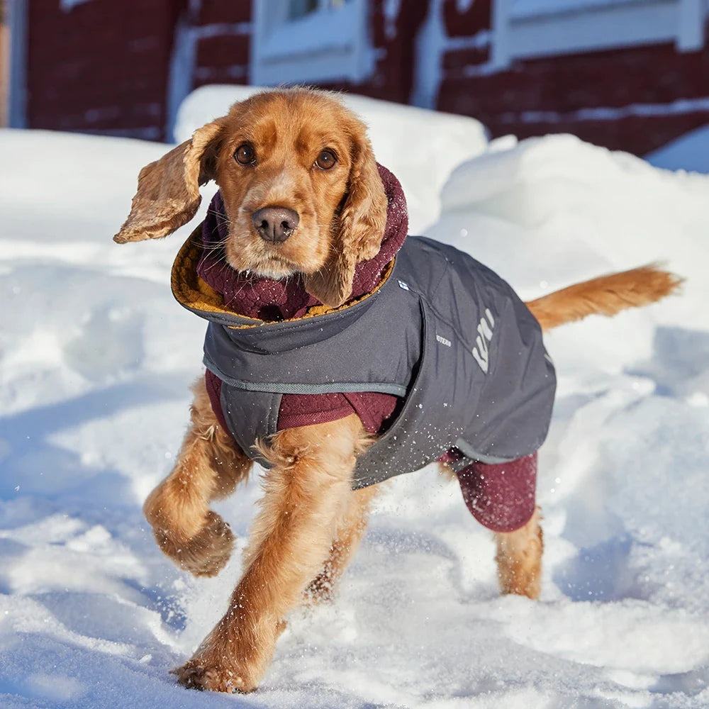 Hurtta Walk All-Season Jacket – wasserdichte Übergangsjacke für Hunde