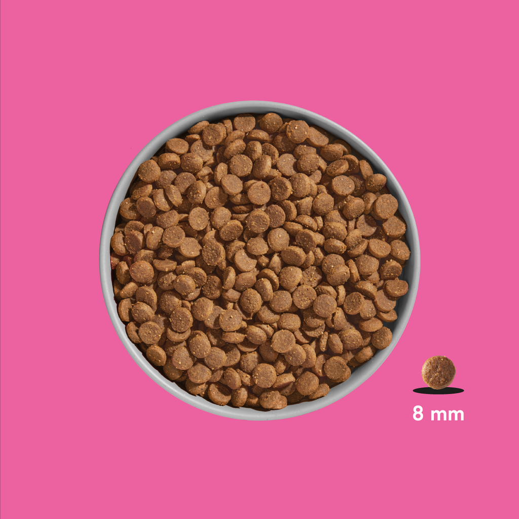 Premium Trockenfutter JUNIOR Lamm