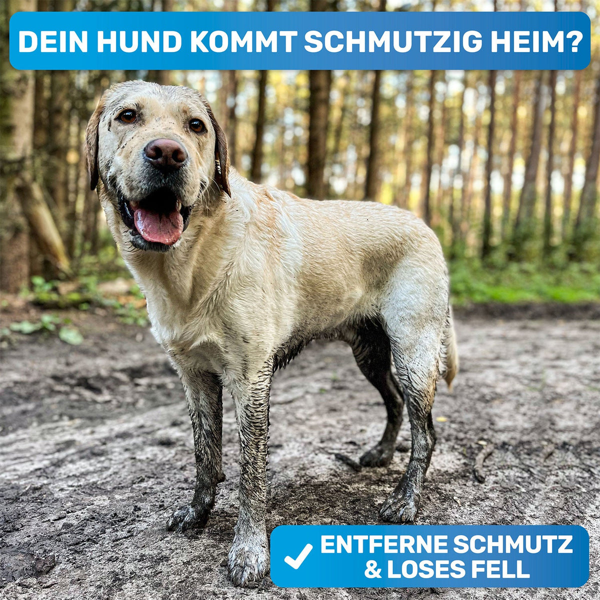 FellFein Gummistriegel – Fell- & Badebürste für Hunde