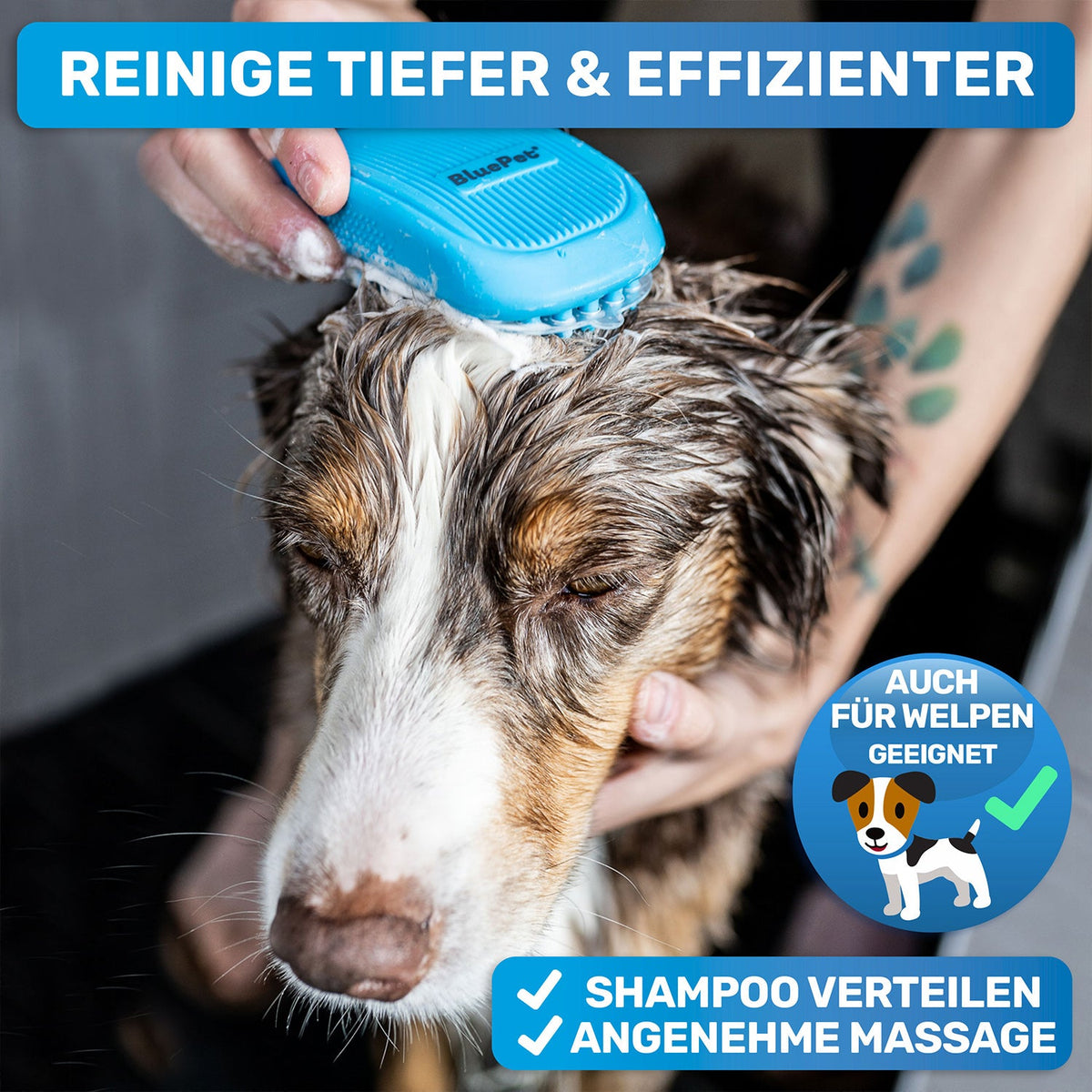 FellFein Gummistriegel – Fell- & Badebürste für Hunde