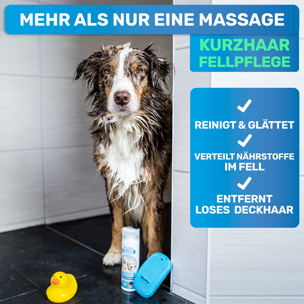 FellFein Gummistriegel – Fell- & Badebürste für Hunde
