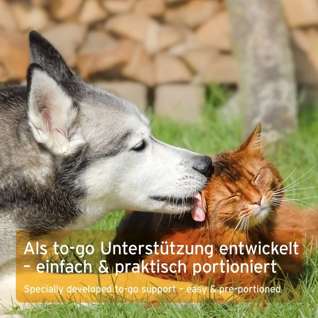 AniForte® Ulmenrinde Liquid – für Magen & Darm