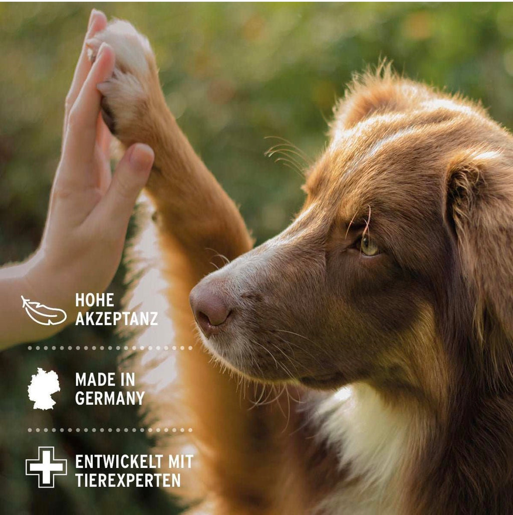 AniForte® Denta Clean & Care – Zahnpflege Pulver