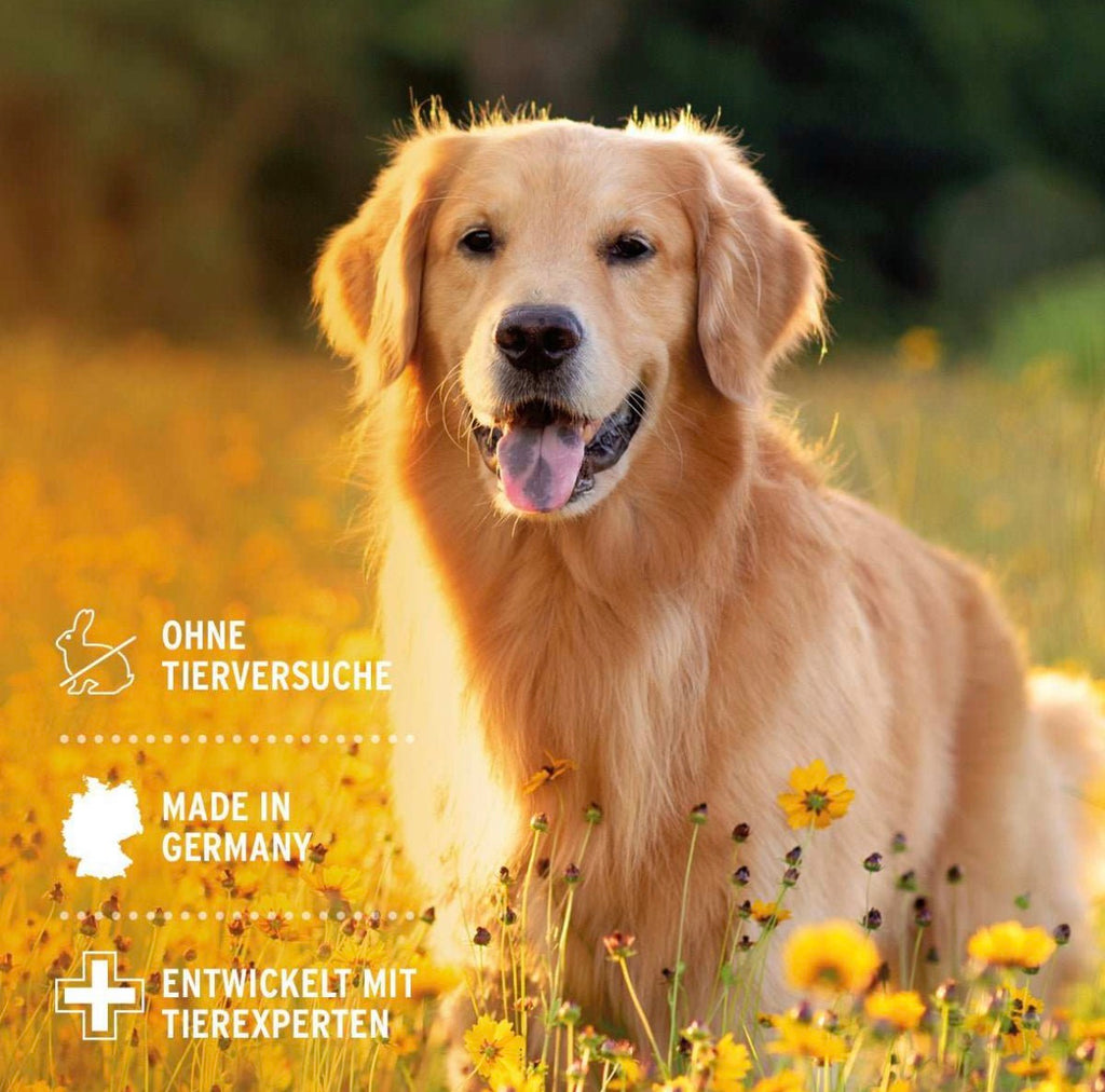 AniForte® VET Ohrentropfen für Hunde – 50 ml