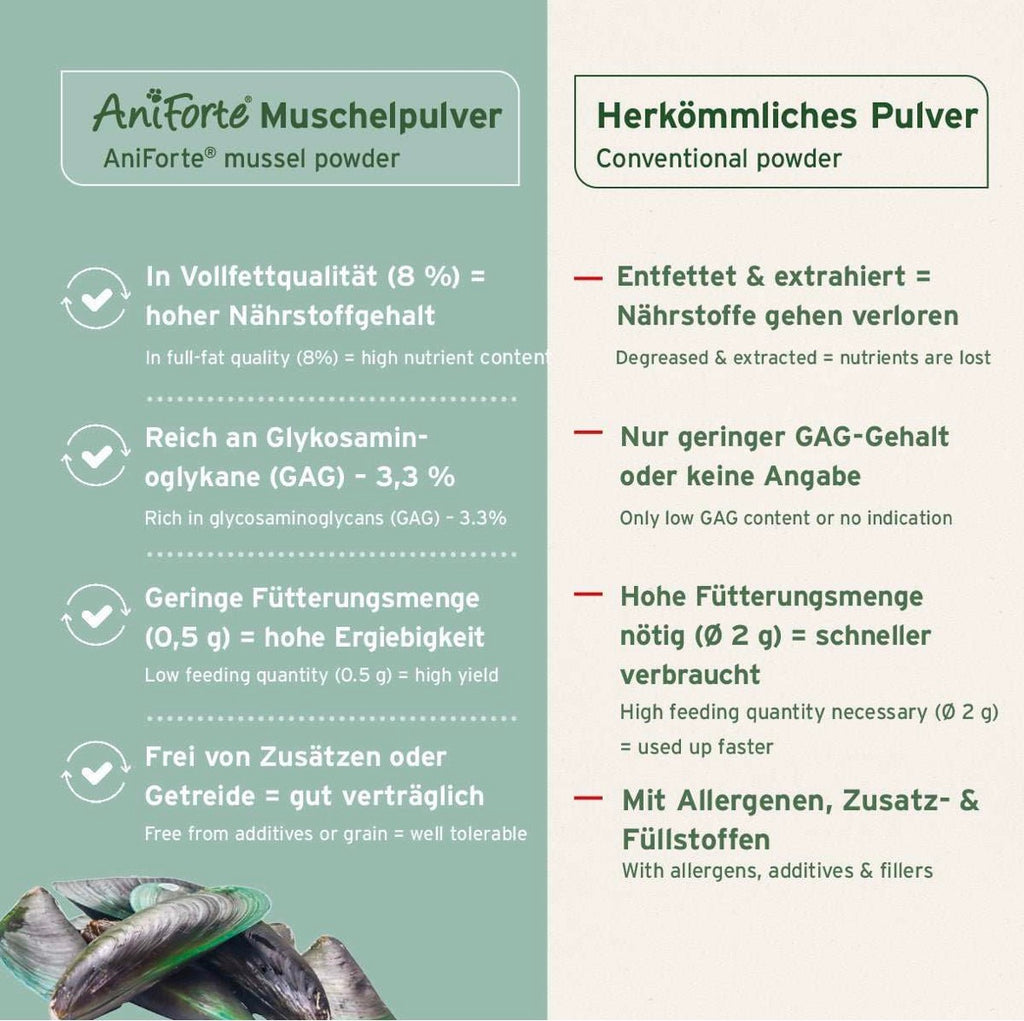 AniForte® Grünlippmuschel Pulver – für Gelenke & Beweglichkeit