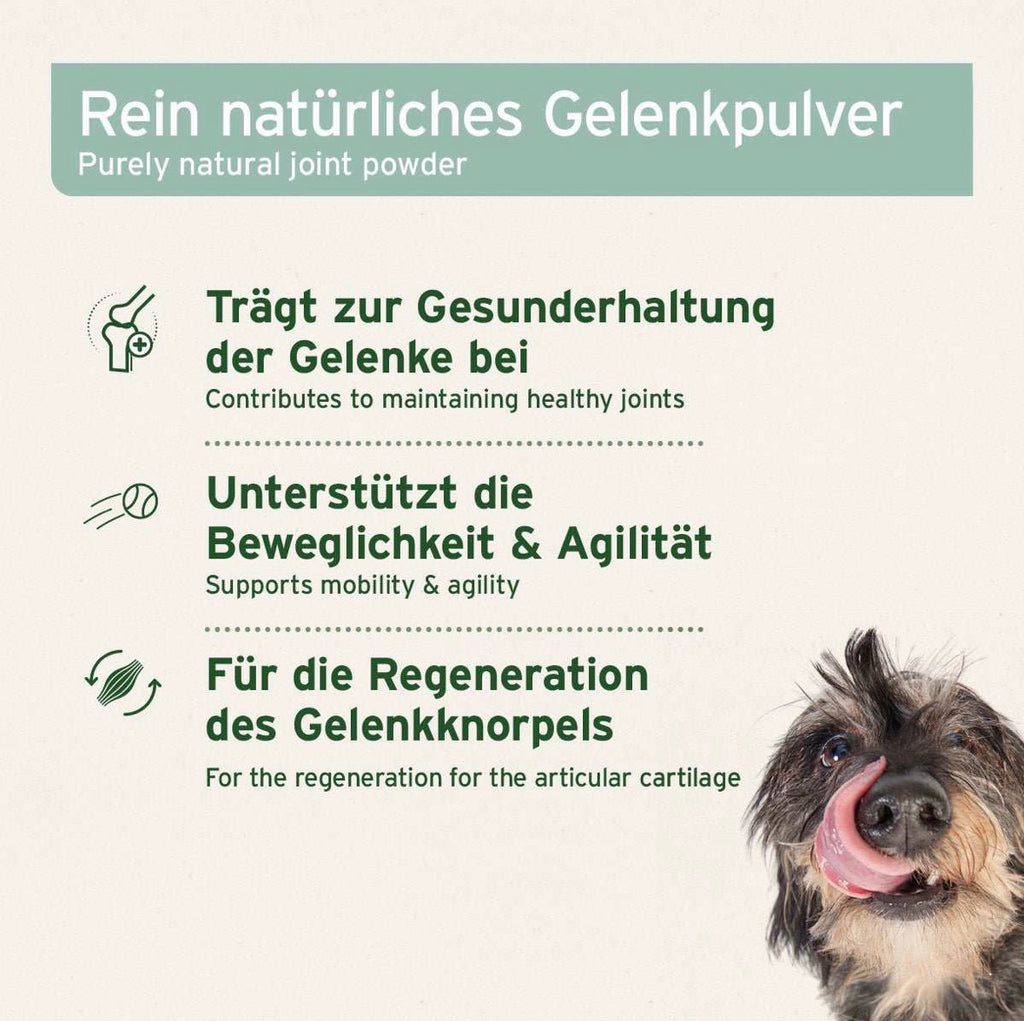 AniForte® Grünlippmuschel Pulver – für Gelenke & Beweglichkeit