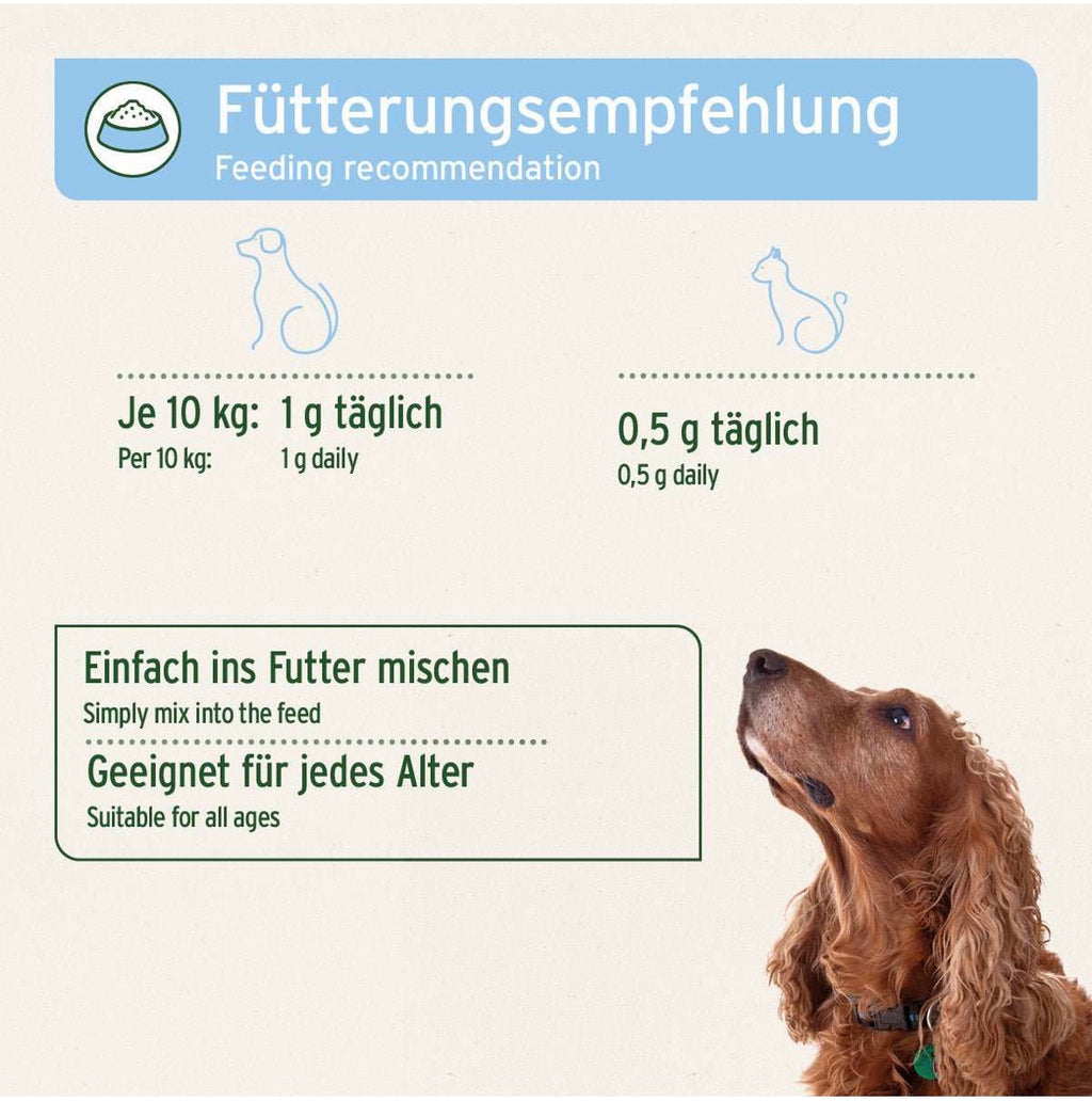 AniForte® Bierhefe Pulver – für Haut & glänzendes Fell