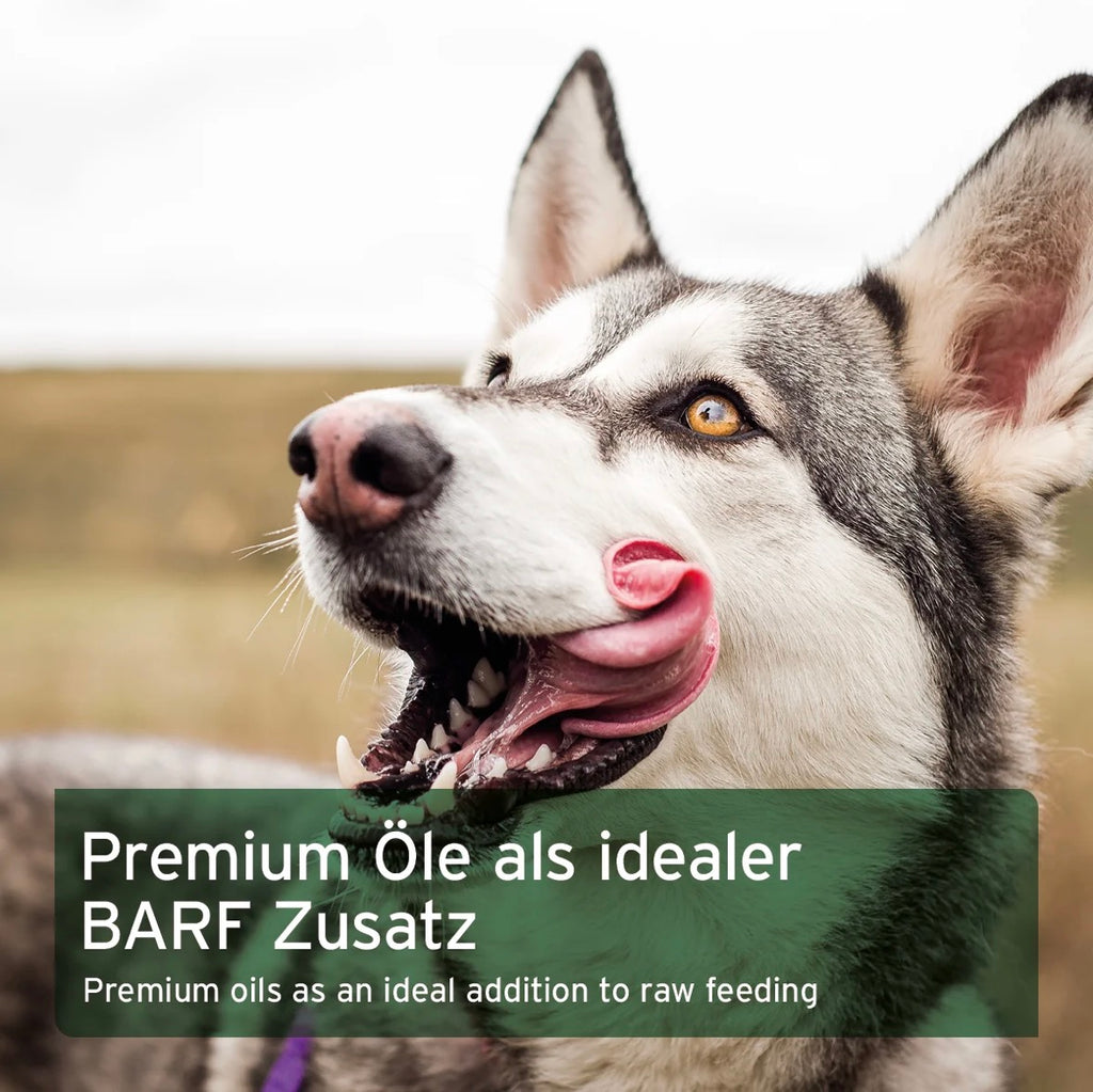 AniForte® BARF-Line Premium Futteröl