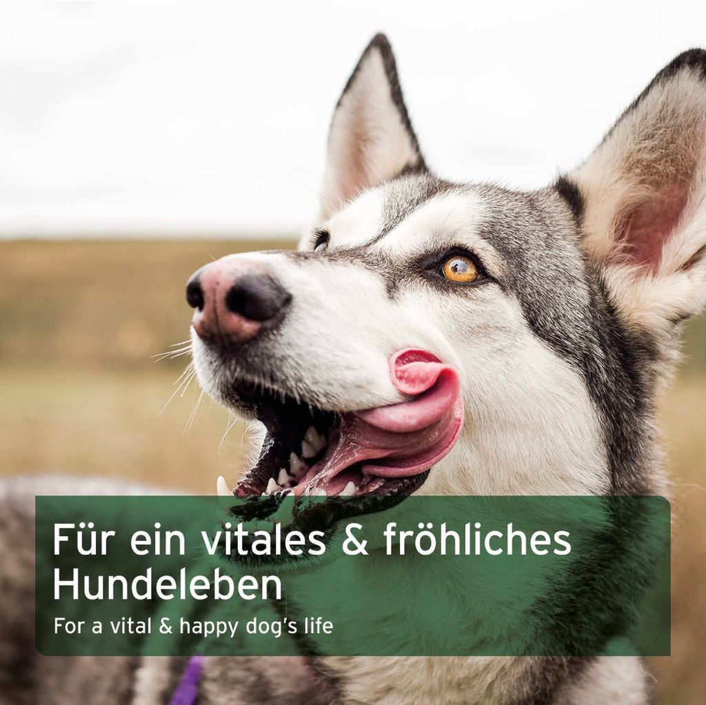 AniForte® BARF Complete – natürliche Rundumversorgung beim BARFen