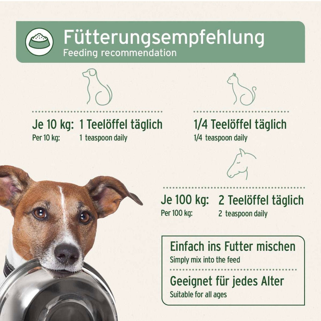 AniForte® Lachsöl – hochwertiges Fischöl für vitale Haut & schönes Fell