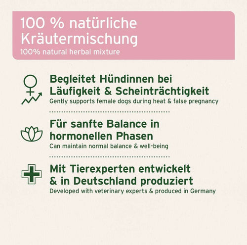 AniForte® Hormon Balance – für hormonelles Gleichgewicht bei Hündinnen
