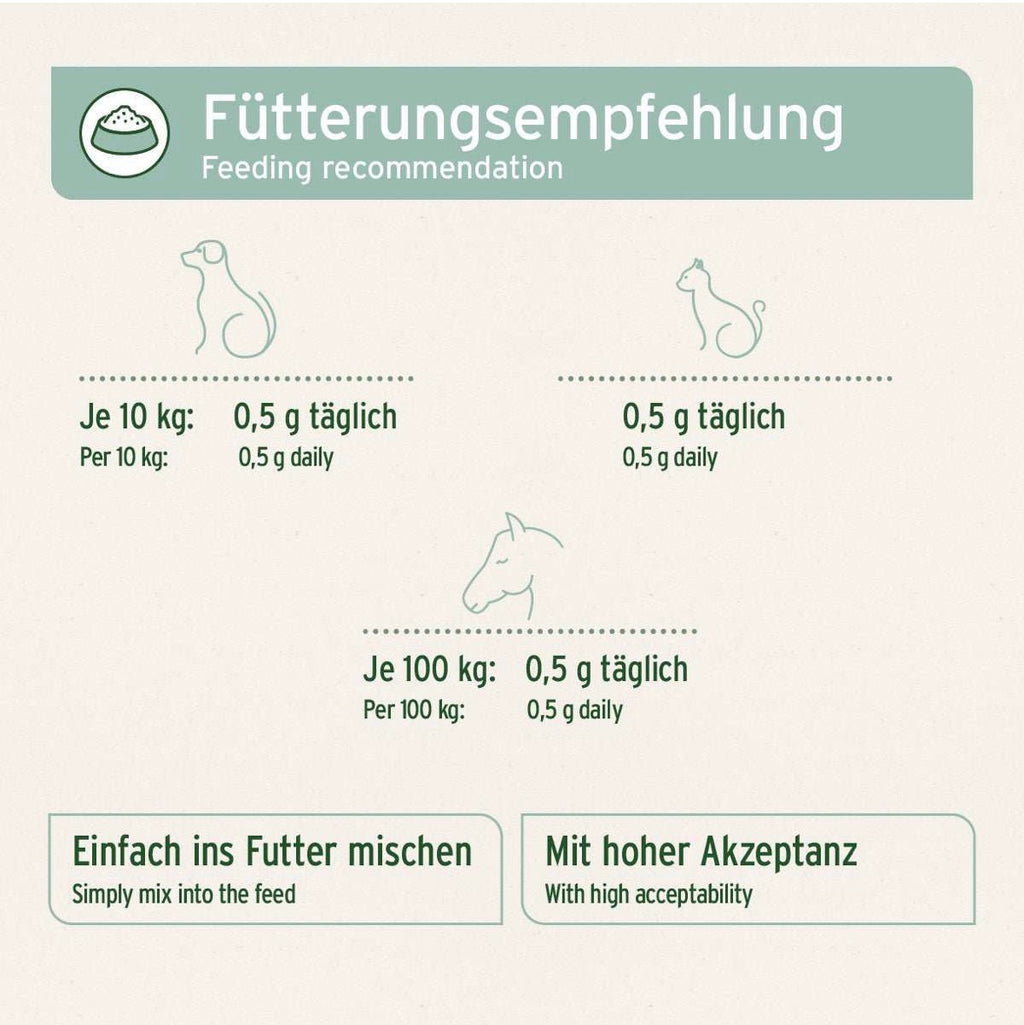 AniForte® Grünlippmuschel Pulver – für Gelenke & Beweglichkeit