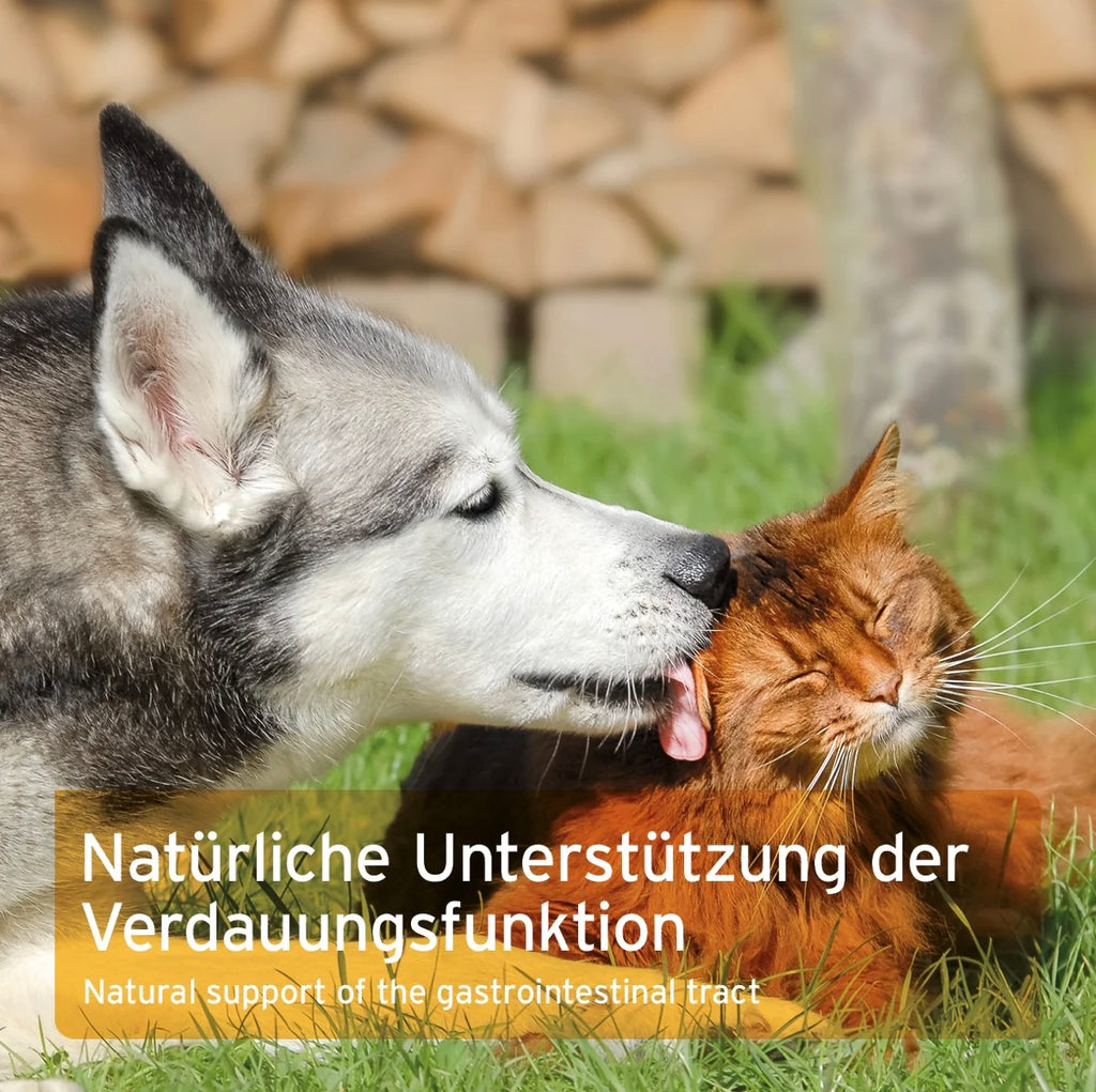 AniForte® Ulmenrinde Pulver – für Magen & Darm