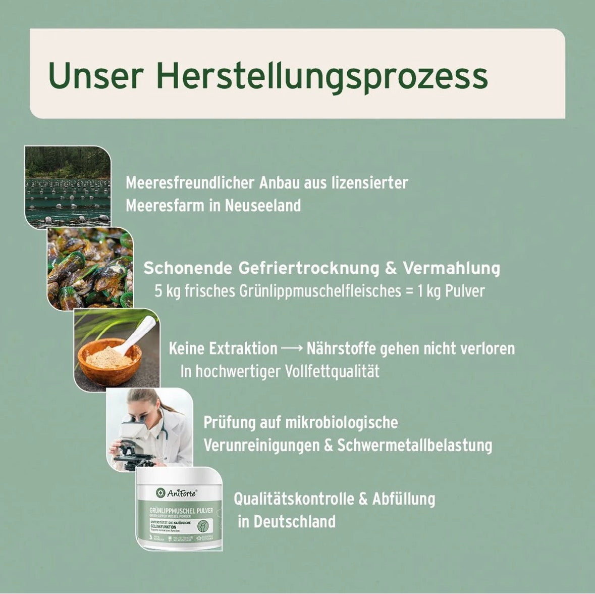 AniForte® Grünlippmuschel Pulver – für Gelenke & Beweglichkeit