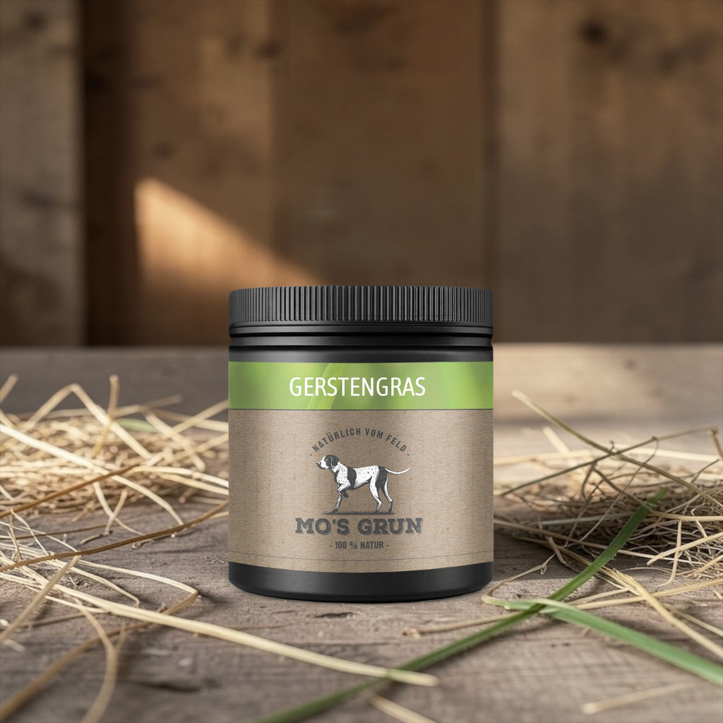 Gerstengras Pulver für Hunde – 250 g