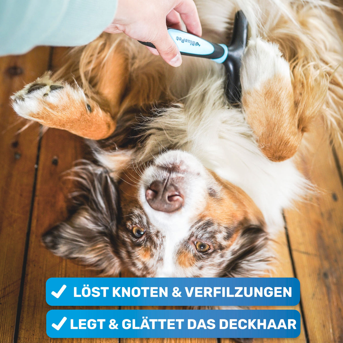 GlanzTanz Entfilzungskamm für langes Hundefell – BluePet