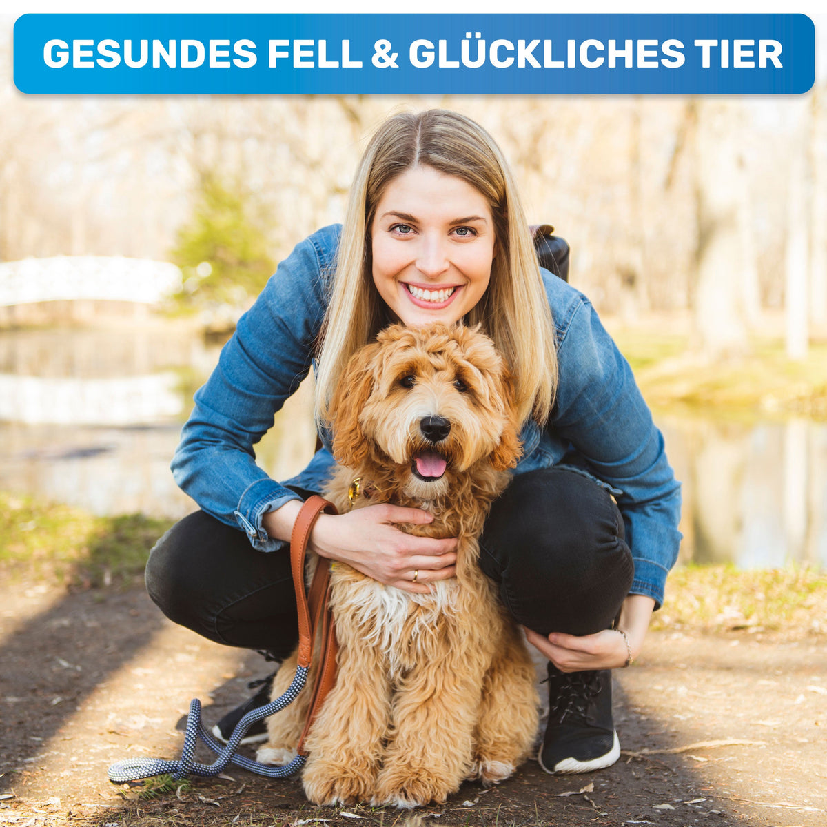 GlanzTanz Entfilzungskamm für langes Hundefell – BluePet
