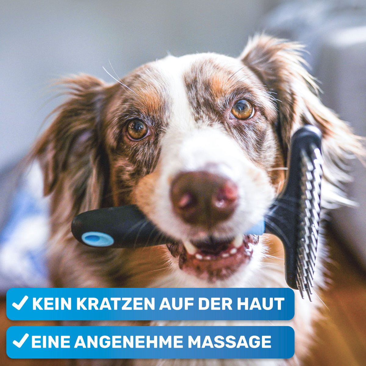 GlanzTanz Entfilzungskamm für langes Hundefell – BluePet