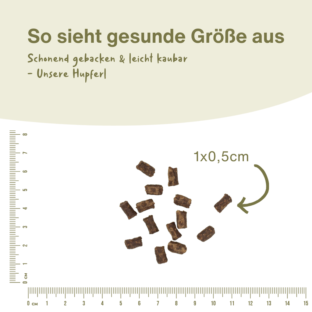 Atemfrische
