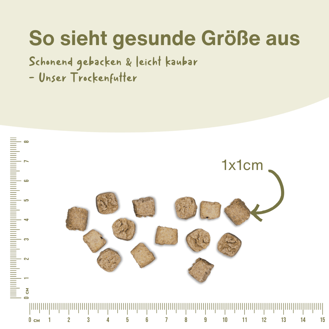 Pferd Premium Trockenfutter