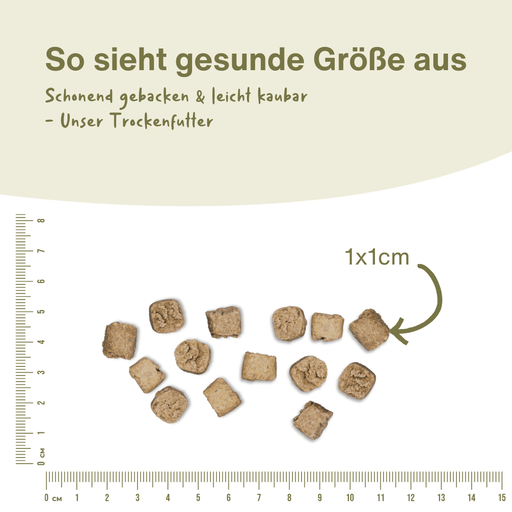 Pute Premium Trockenfutter