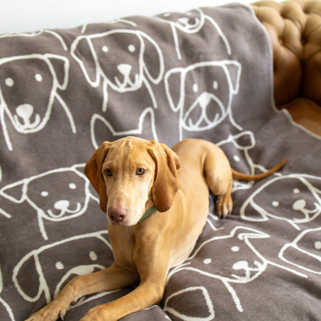 Decke Caruso Dogs