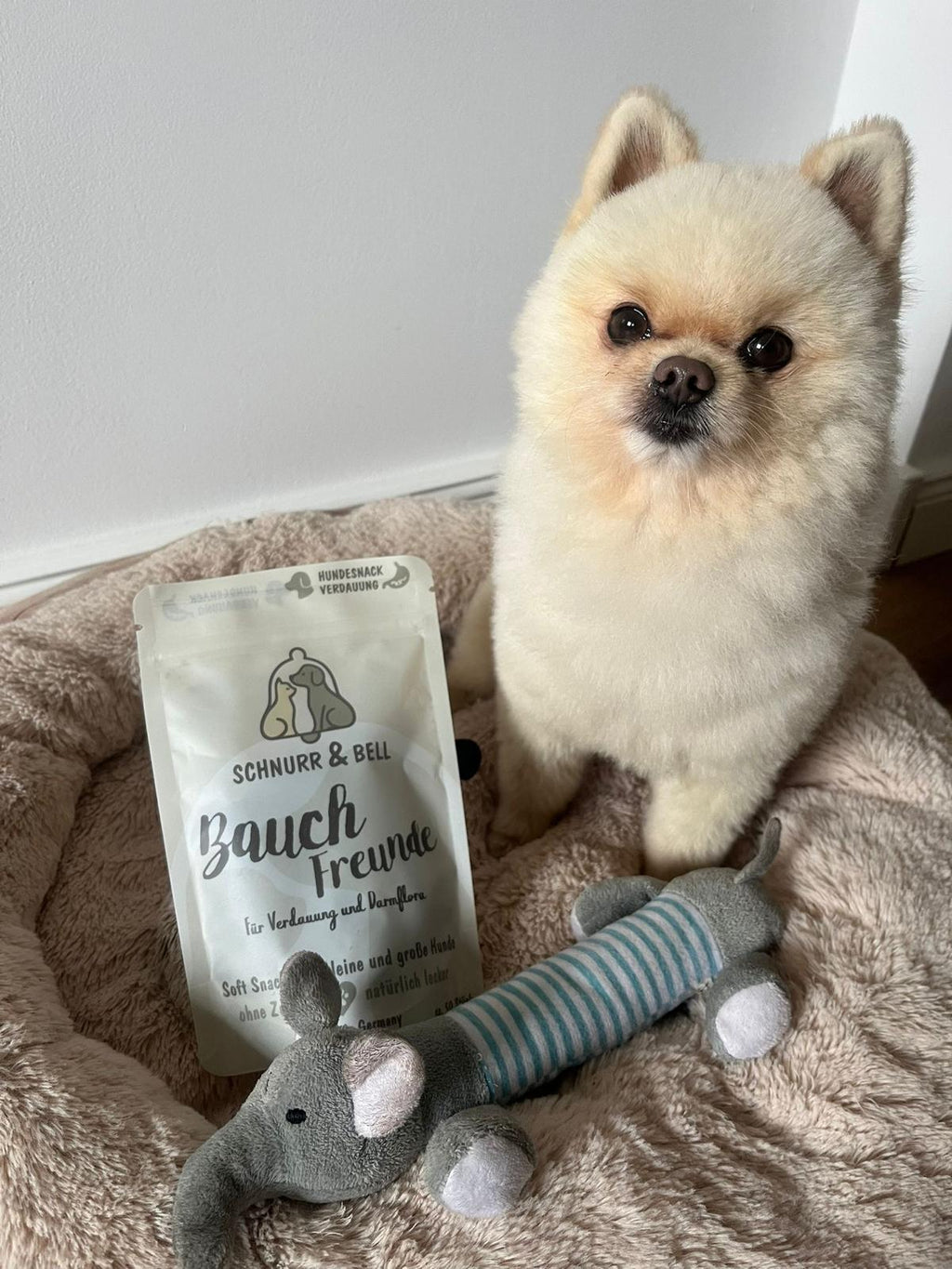 Bauch Freunde Soft Chews