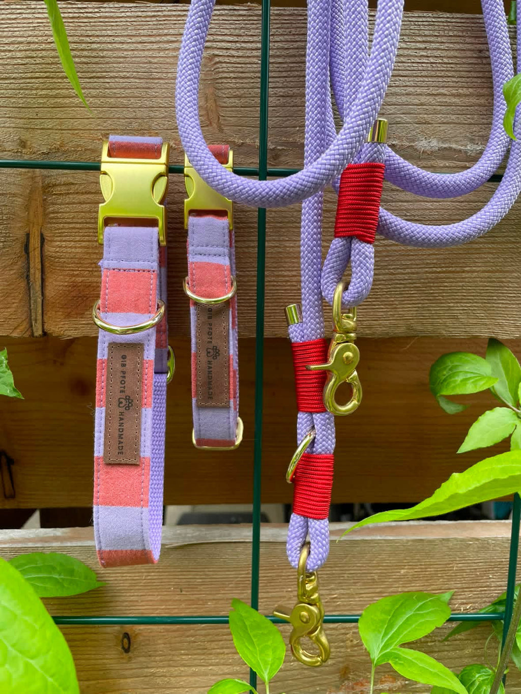 Set „Summer-Stripes“ – Halsband & 3-Meter-Leine individuell konfigurierbar
