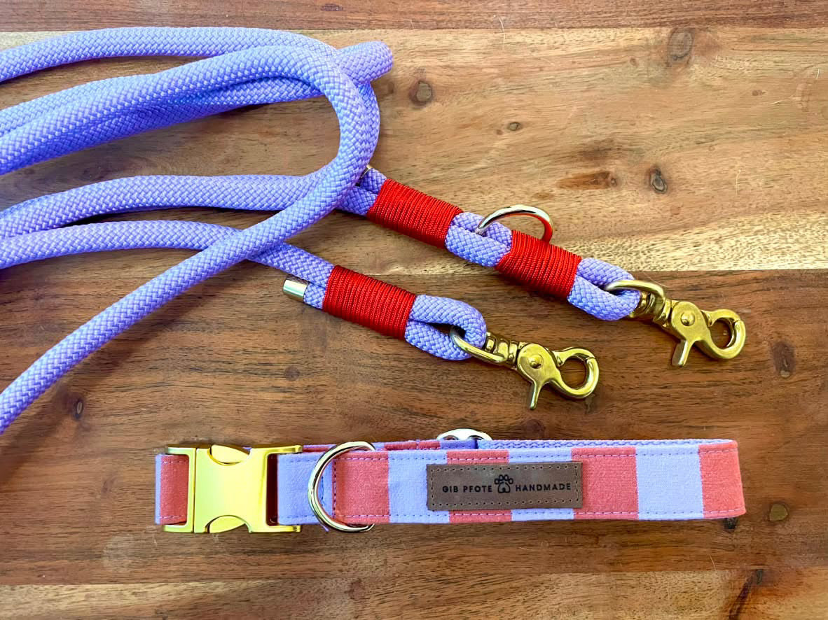 Set „Summer-Stripes“ – Halsband & 3-Meter-Leine individuell konfigurierbar