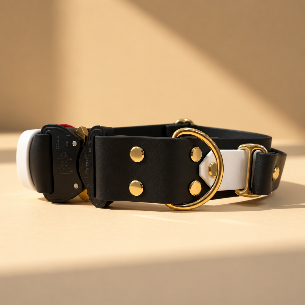 Taktisches Halsband – individuell konfigurierbar