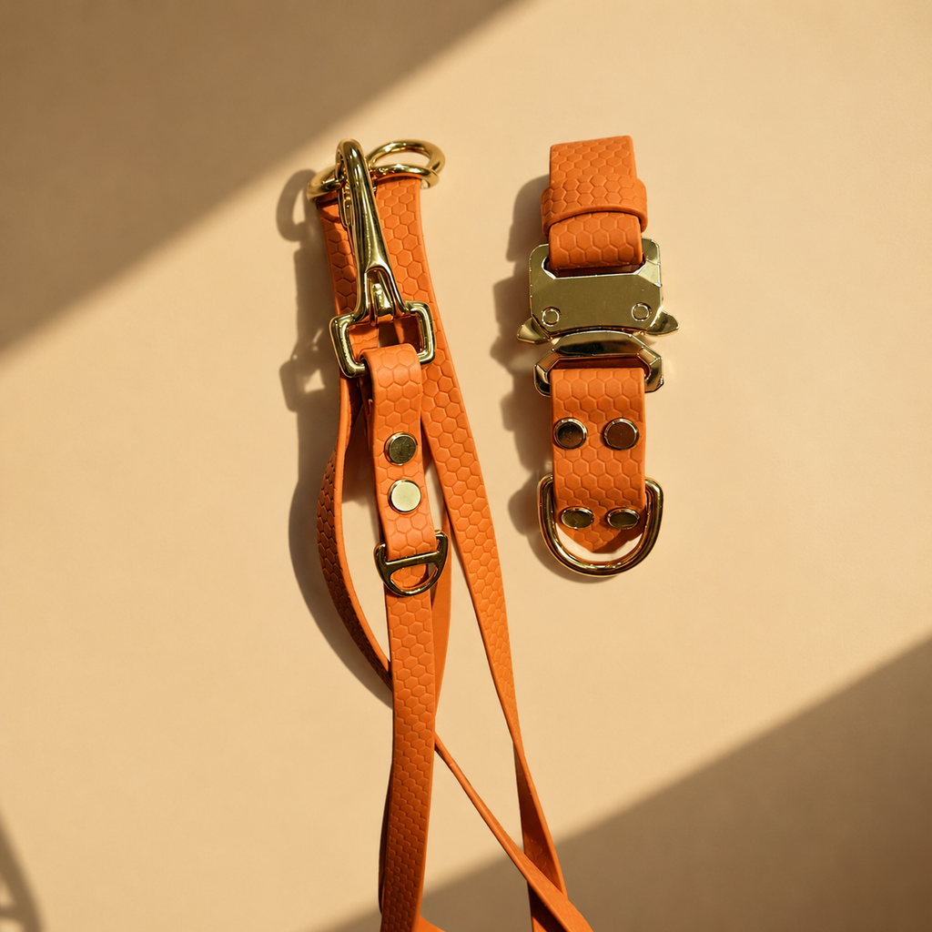 Flexfit Hexa Halsband 25 mm – individuell konfigurierbar