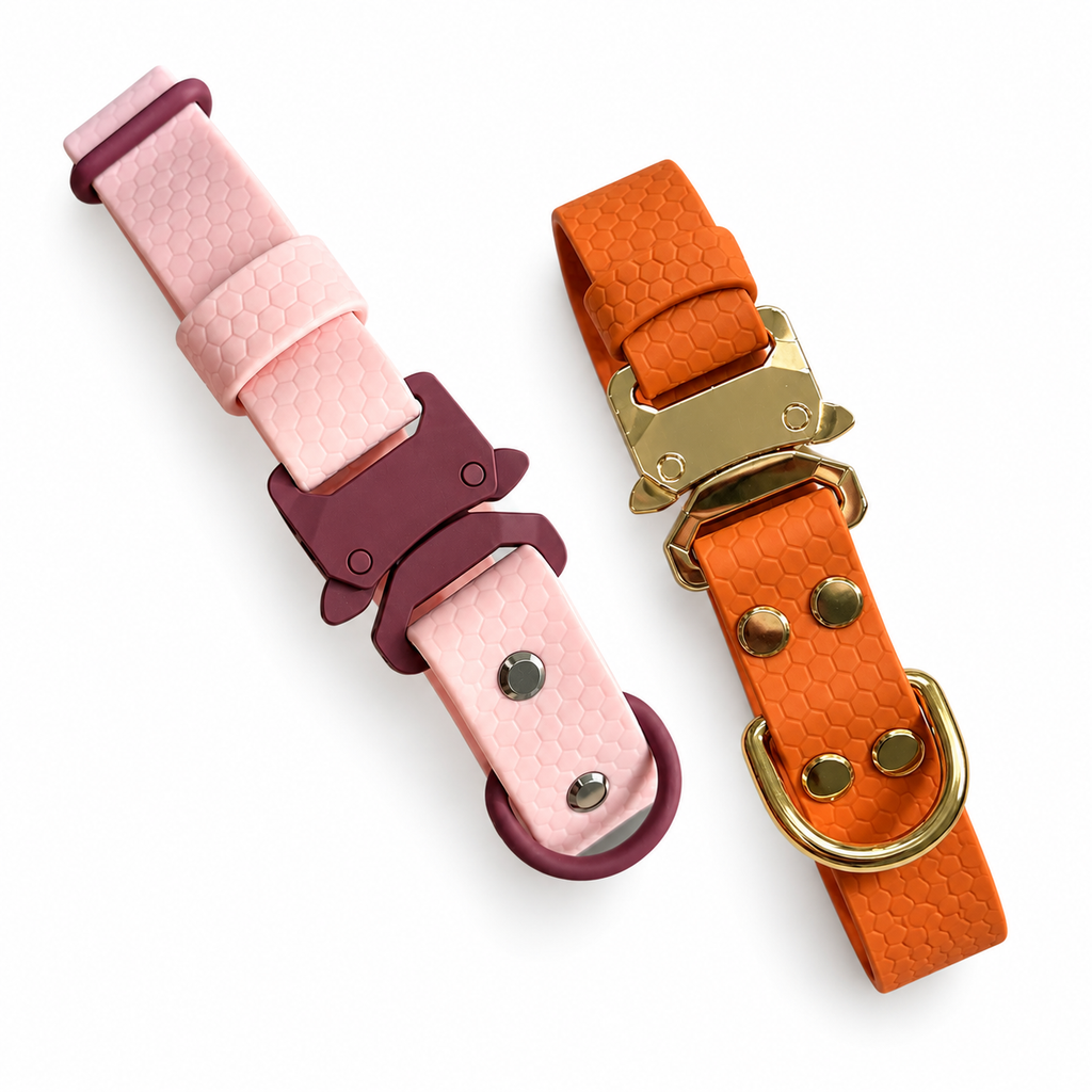 Flexfit Hexa Halsband 25 mm – individuell konfigurierbar