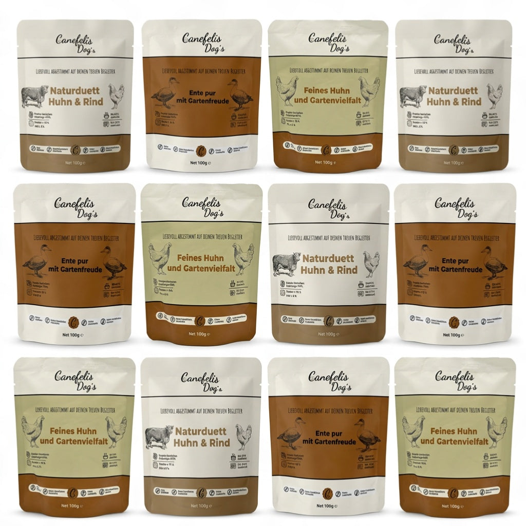 Hunde-Vorratspaket – 3 Sorten | 36 × 100 g | getreidefreies Nassfutter