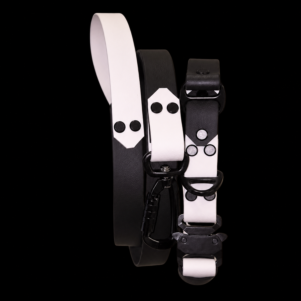Taktisches Halsband – individuell konfigurierbar