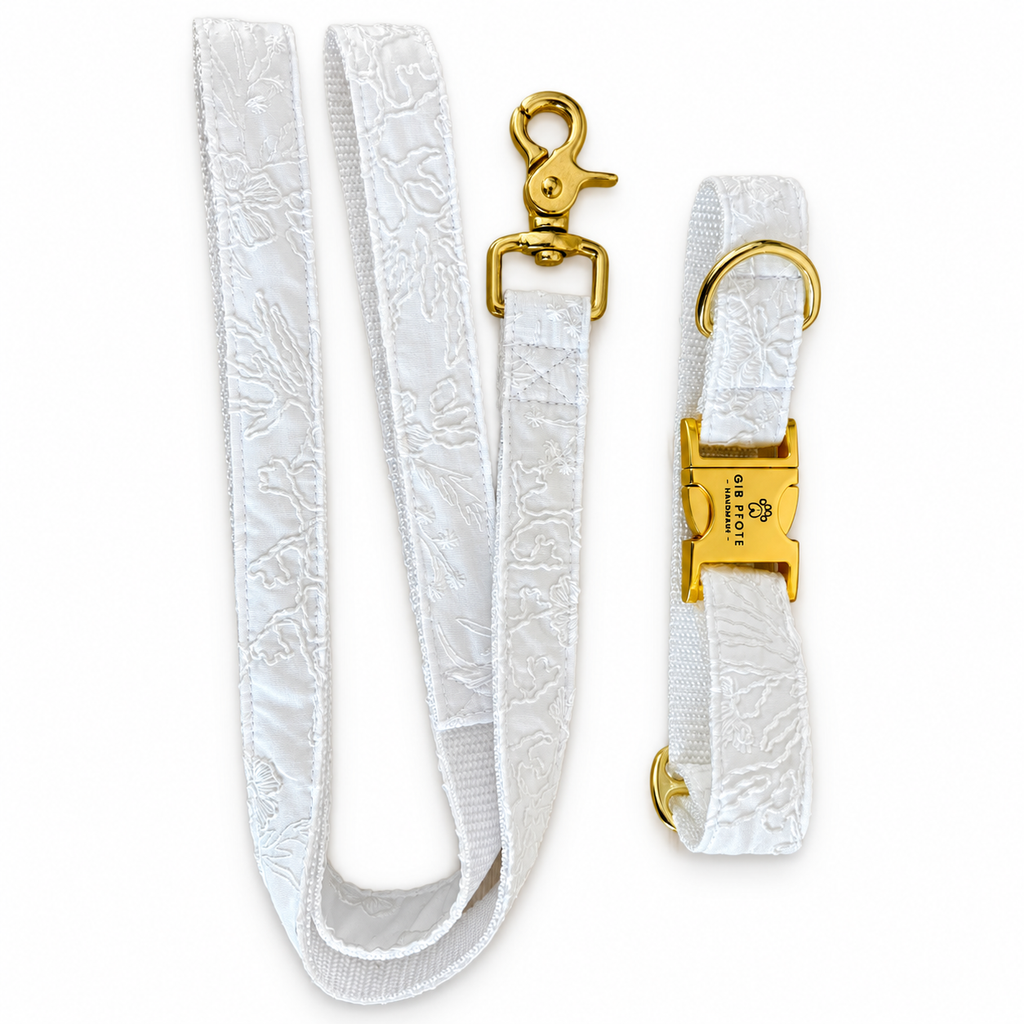 Hochzeitsset – Halsband & Leine