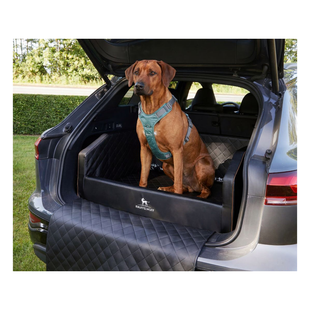 Cargo Hunde-Transportbox fürs Auto – orthopädisches Kofferraumbett