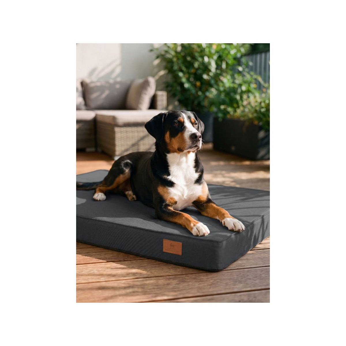 Orthopädische Outdoor-Hundematte Jackson – UV-beständig & Memory Foam