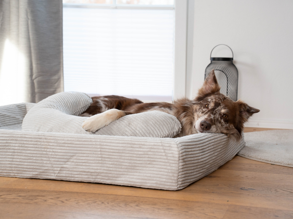 Hundebett KUDDE Cord