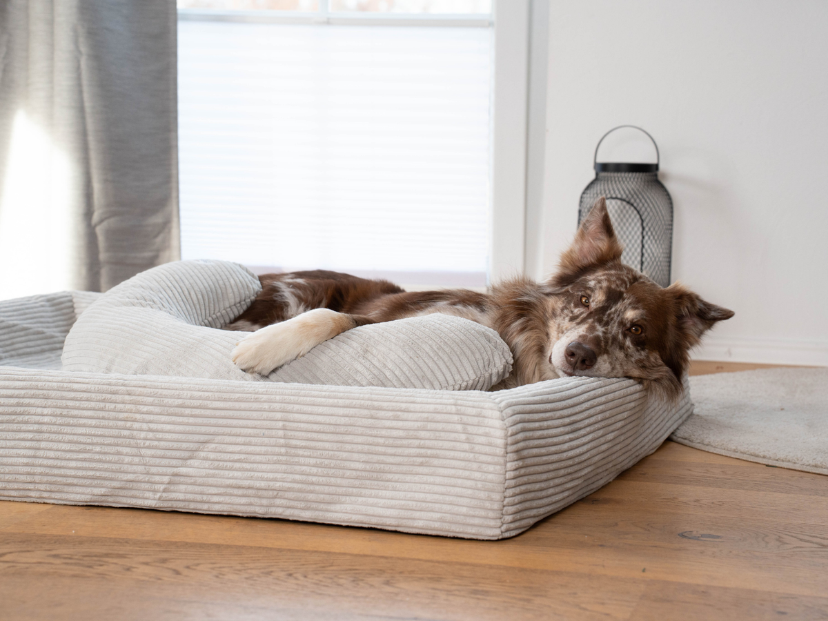 Hundebett KUDDE Cord