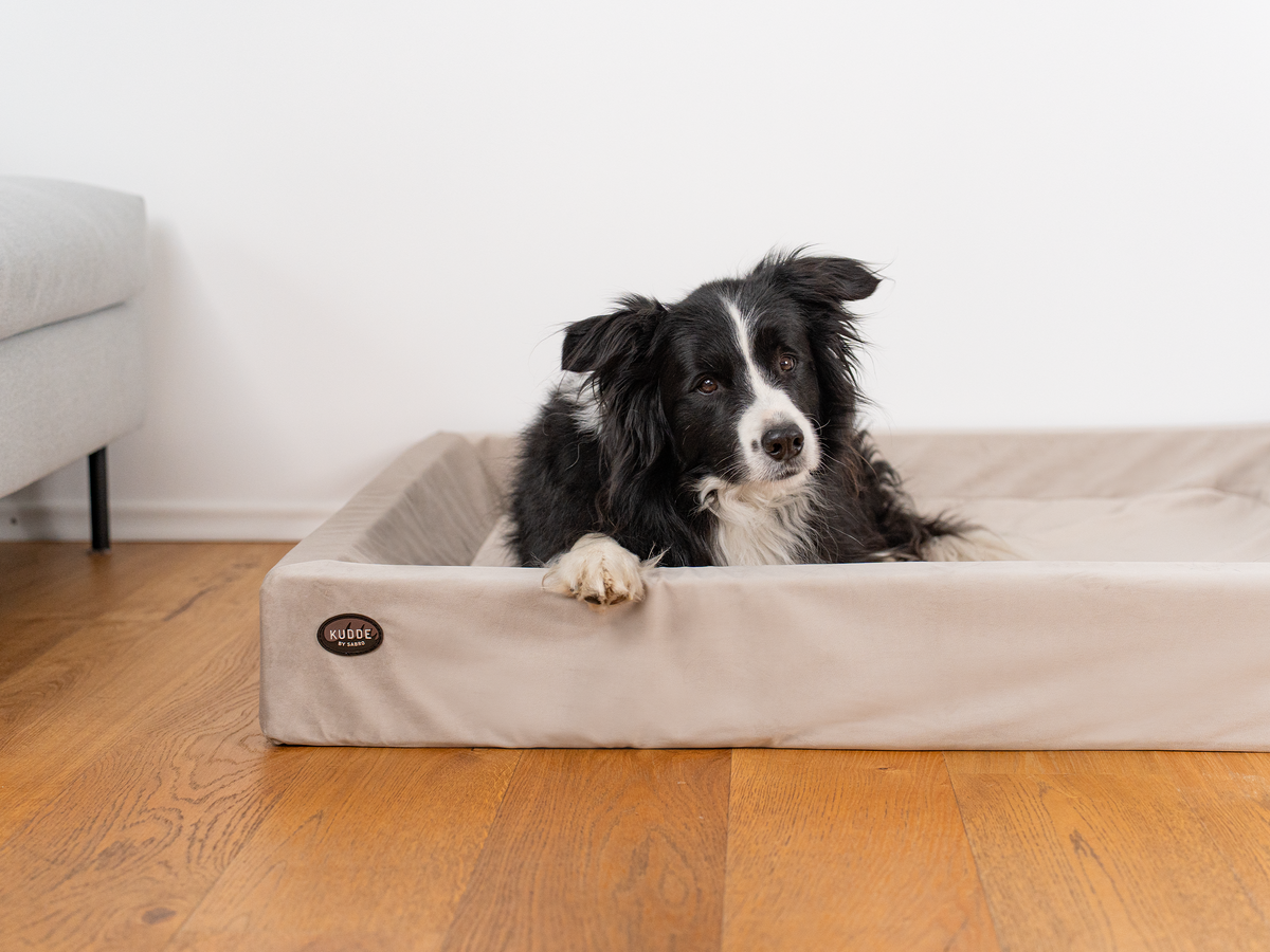 Hundebett KUDDE Samt