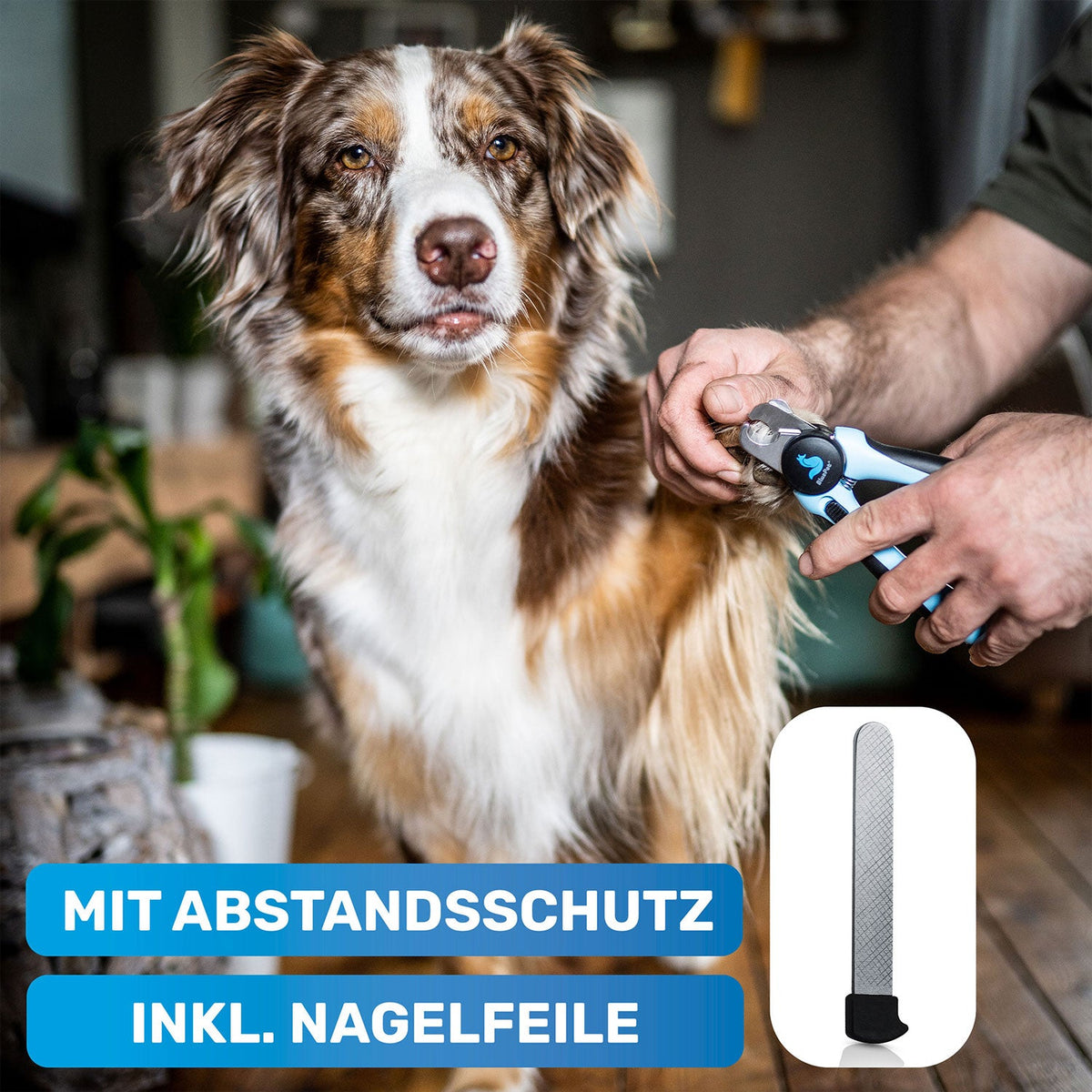 KrallenSchön Krallenschere mit Abstandsschutz für Hunde – BluePet