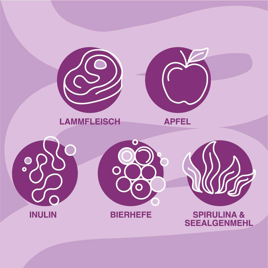 Superfood Softies Lamm