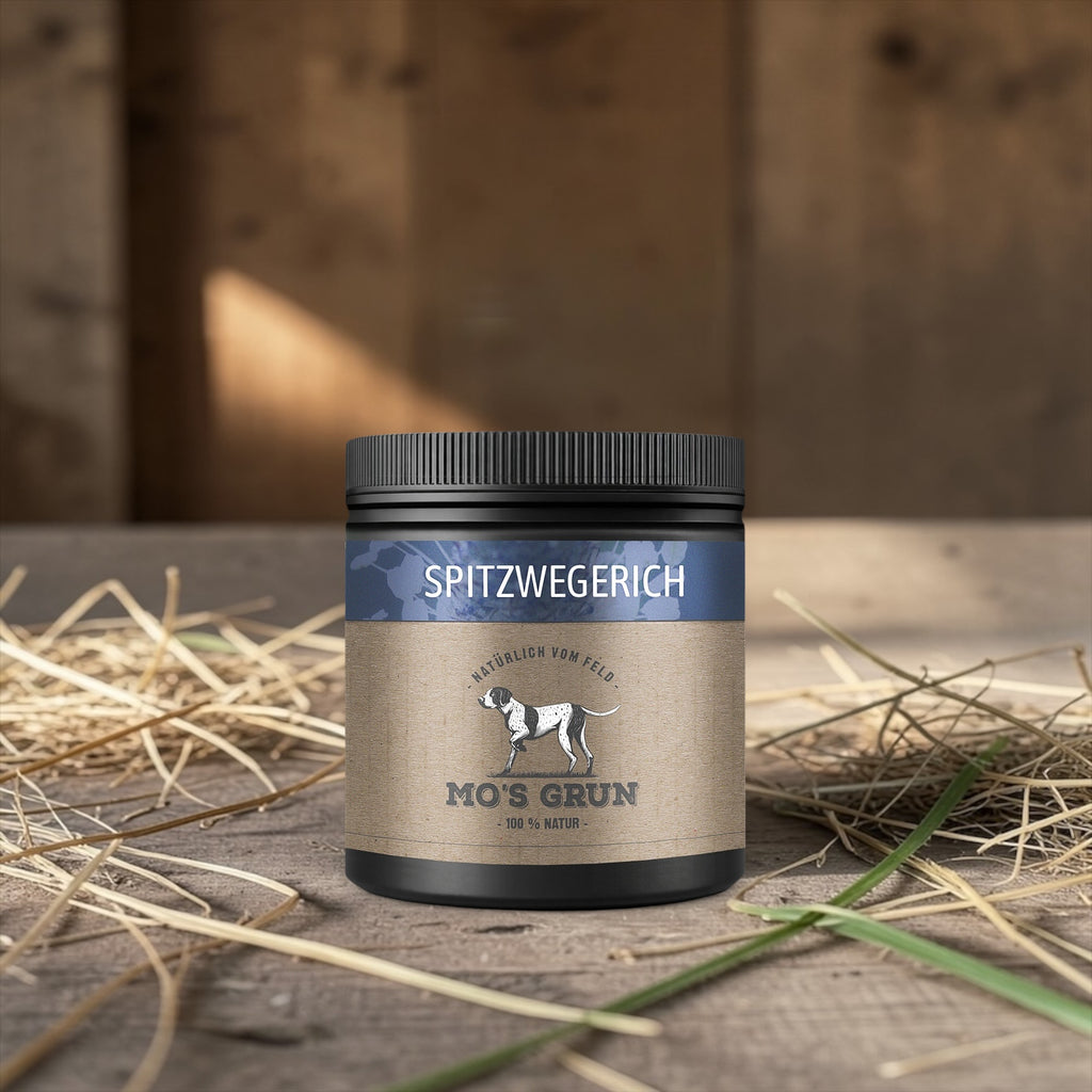 Spitzwegerich Pulver für Hunde – 200 g