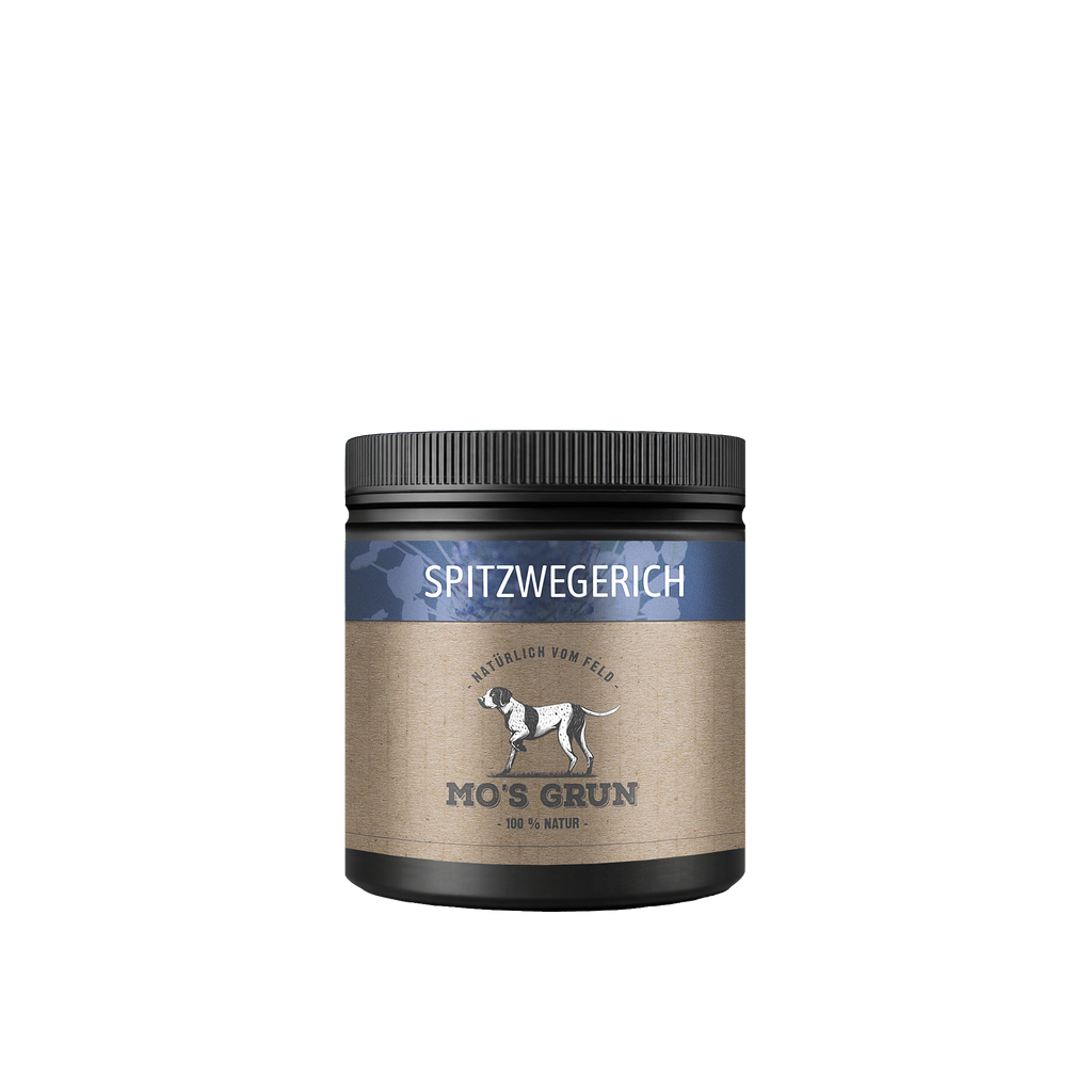 Spitzwegerich Pulver für Hunde – 200 g