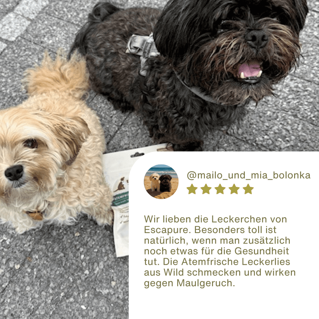 Atemfrische