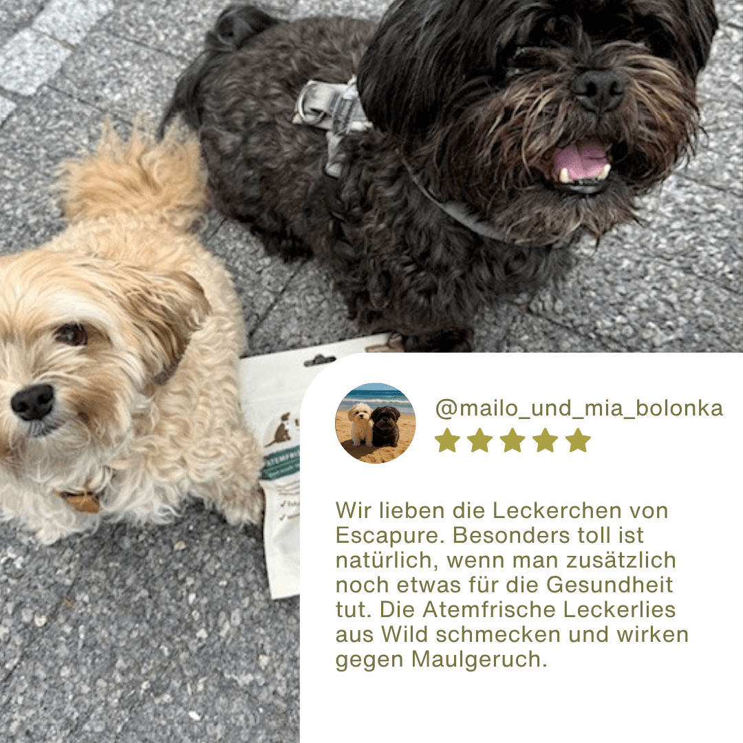 Atemfrische