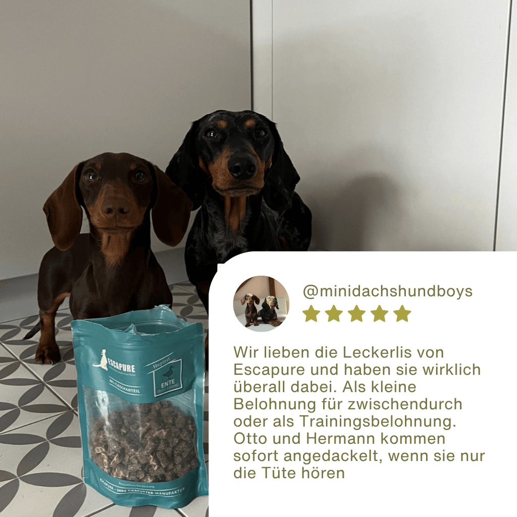 Enten Snack