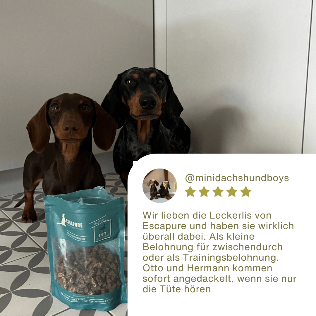 Enten Snack